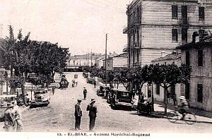 ALGER-EL-BIAR - AVENUE DU MARECHAL BUGEAUD